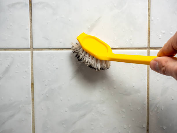 Best Professional Mold Removal  in Branchville, SC