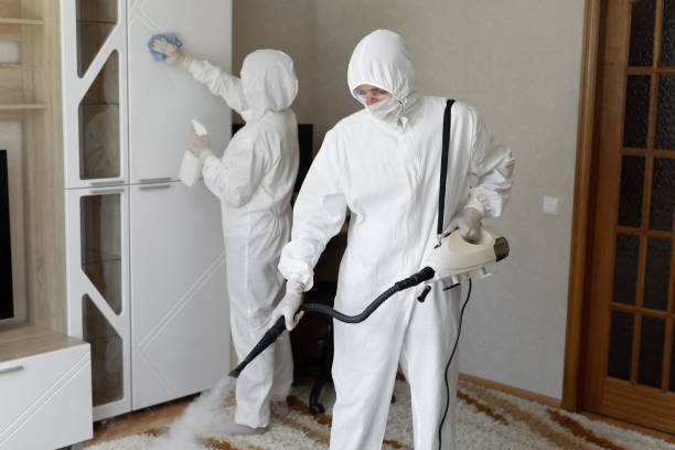 Best Certified Mold Removal  in Branchville, SC