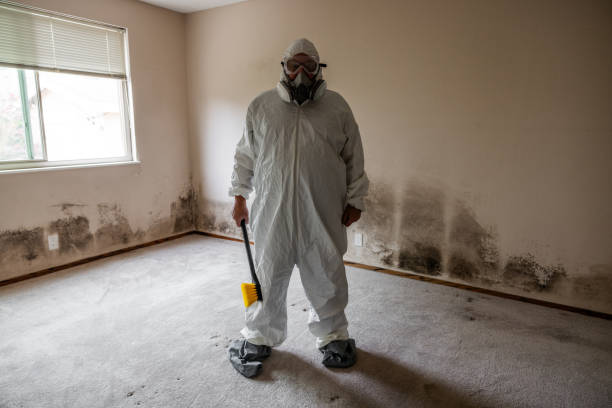 Best Mold Remediation Services  in Branchville, SC