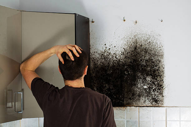 Best Residential Mold Removal  in Branchville, SC